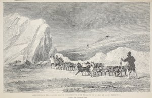 McClintock